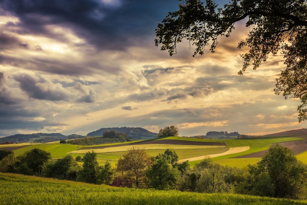 fields, hill, sunset